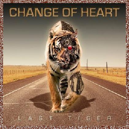 Change of heart – Last Tiger 2016