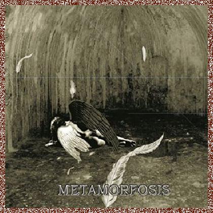 Duqueiro – Metamorfosis (2016)