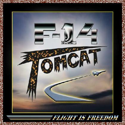 F-14 Tomcat – Flight Is Freedom (2024)