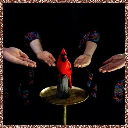 Funhouse Mirrors – Red Bird – 2024