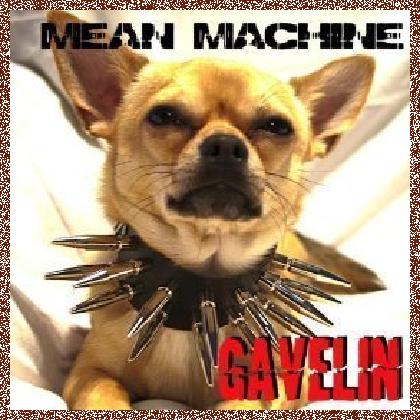 Gavelin – Mean Machine 2011