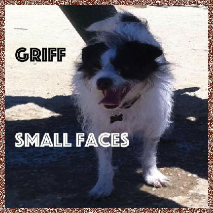 Griff – Small Faces 2023