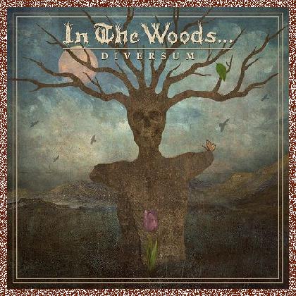 In The Woods… – Diversum (2022), MP3+FLAC