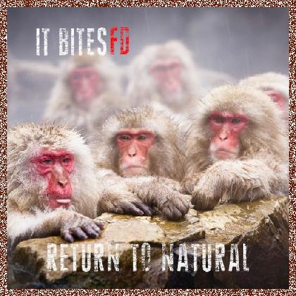 It Bites FD – Return To Natural 2024