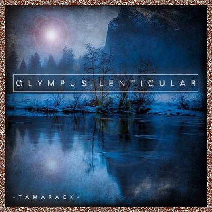 Olympus Lenticular – Tamarack (2017)