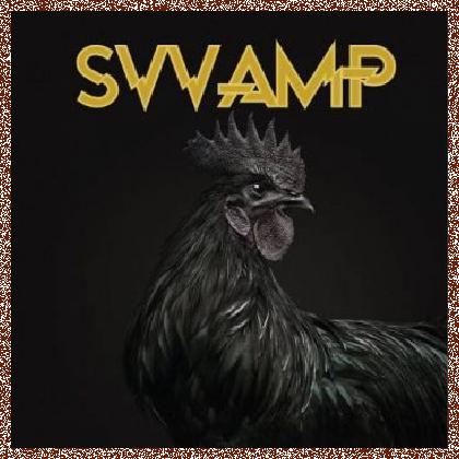 SVVAMP – SVVAMP (2016)