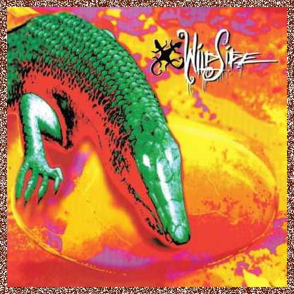 Wildside – Wildside 1995 (Lossless)